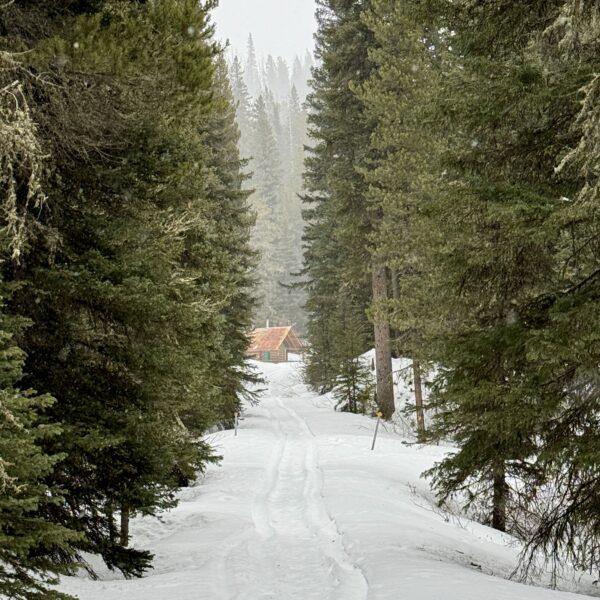 Forest Service Cabin Camping